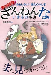 ς肴˂Ȃ̎T